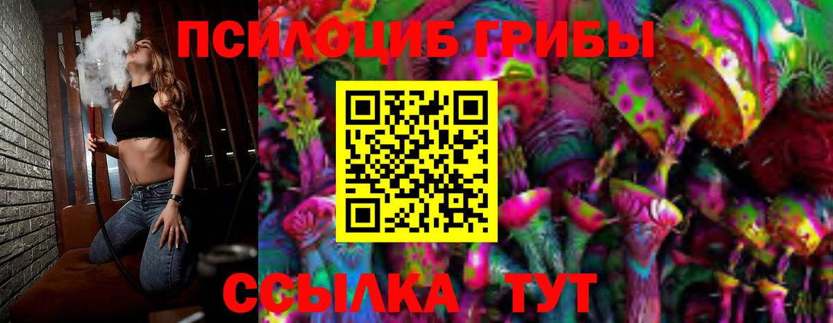 Псилоцибиновые грибы Psilocybine cubensis Нерюнгри